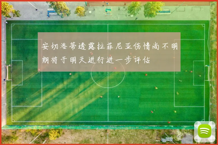 安切洛蒂透露拉菲尼亚伤情尚不明朗将于明天进行进一步评估