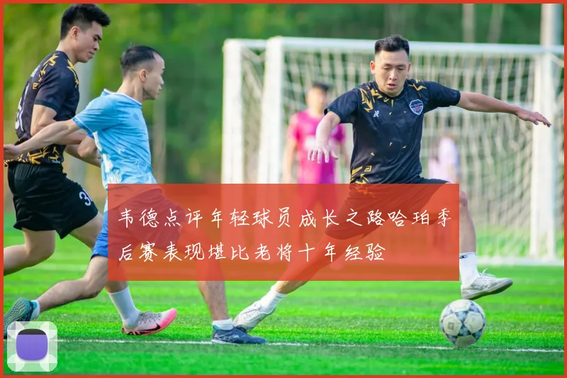 韦德点评年轻球员成长之路哈珀季后赛表现堪比老将十年经验