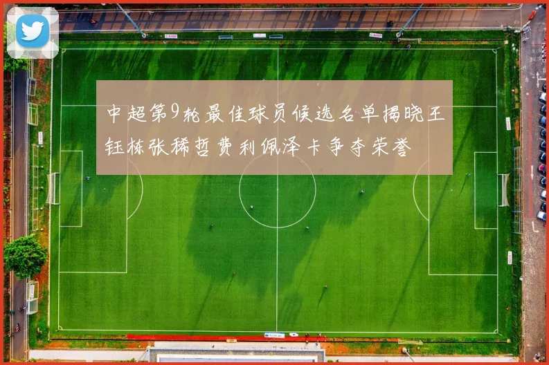 中超第9轮最佳球员候选名单揭晓王钰栋张稀哲费利佩泽卡争夺荣誉