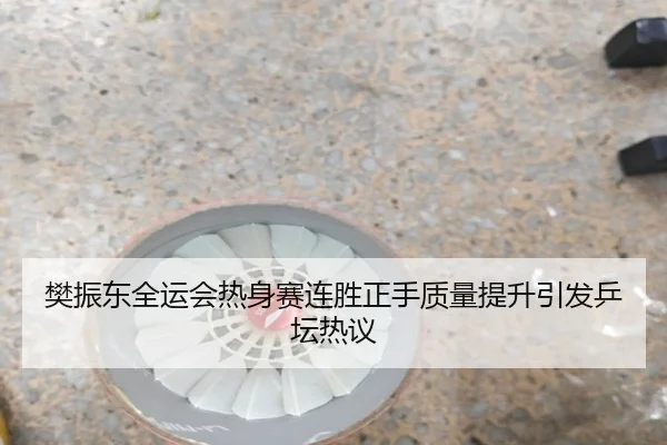 樊振东全运会热身赛连胜正手质量提升引发乒坛热议（PandaSports）